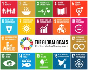 Anniversario SDGS - Sustainable Development Goals